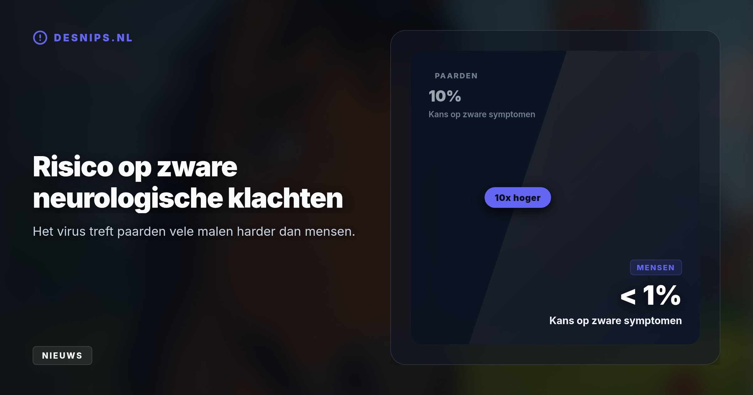 Het westnijlvirus verspreidt zich snel in de Utrechtse polders via muggen. Terwijl 10% van de paarden ernstige neurologische klachten krijgt, is dat bij mensen minder dan 1%.