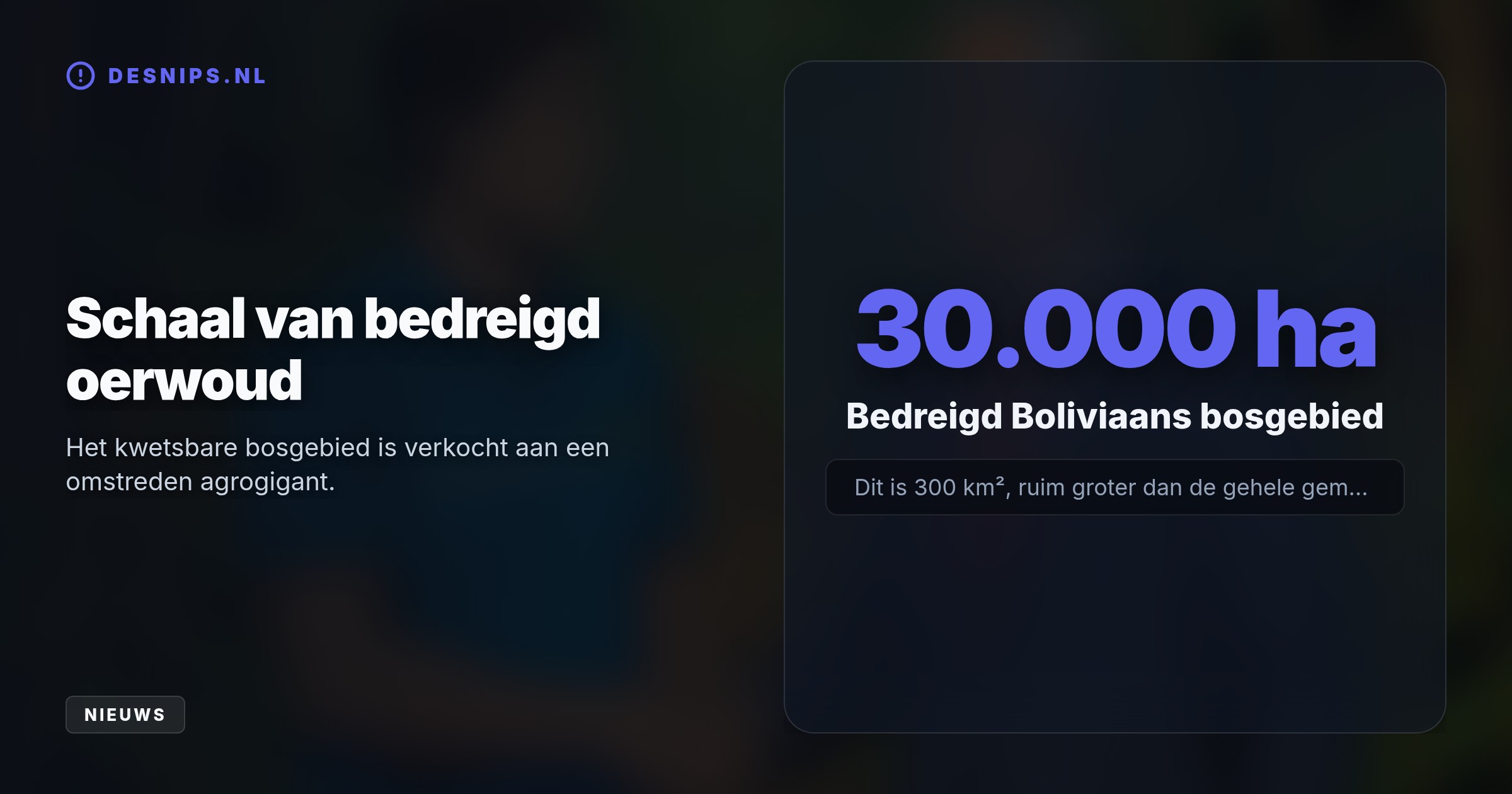 Terwijl de Rabo Carbon Bank het woud van 30.000 hectare wilde bewaren, hielp een eigen medewerker achter de schermen de Braziliaanse agrogigant Bom Futuro bij de overname.
