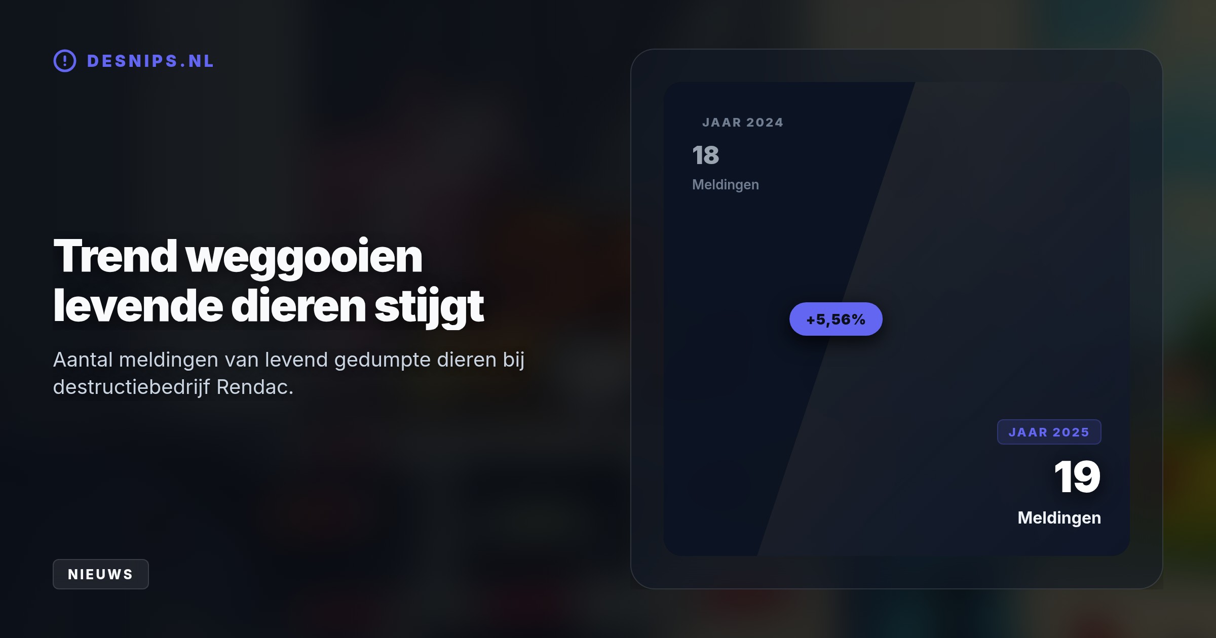 Veehouders controleren dieren slecht voor destructie en de NVWA handhaaft laks. Chauffeurs in Son troffen vorig jaar negentien levende dieren aan.