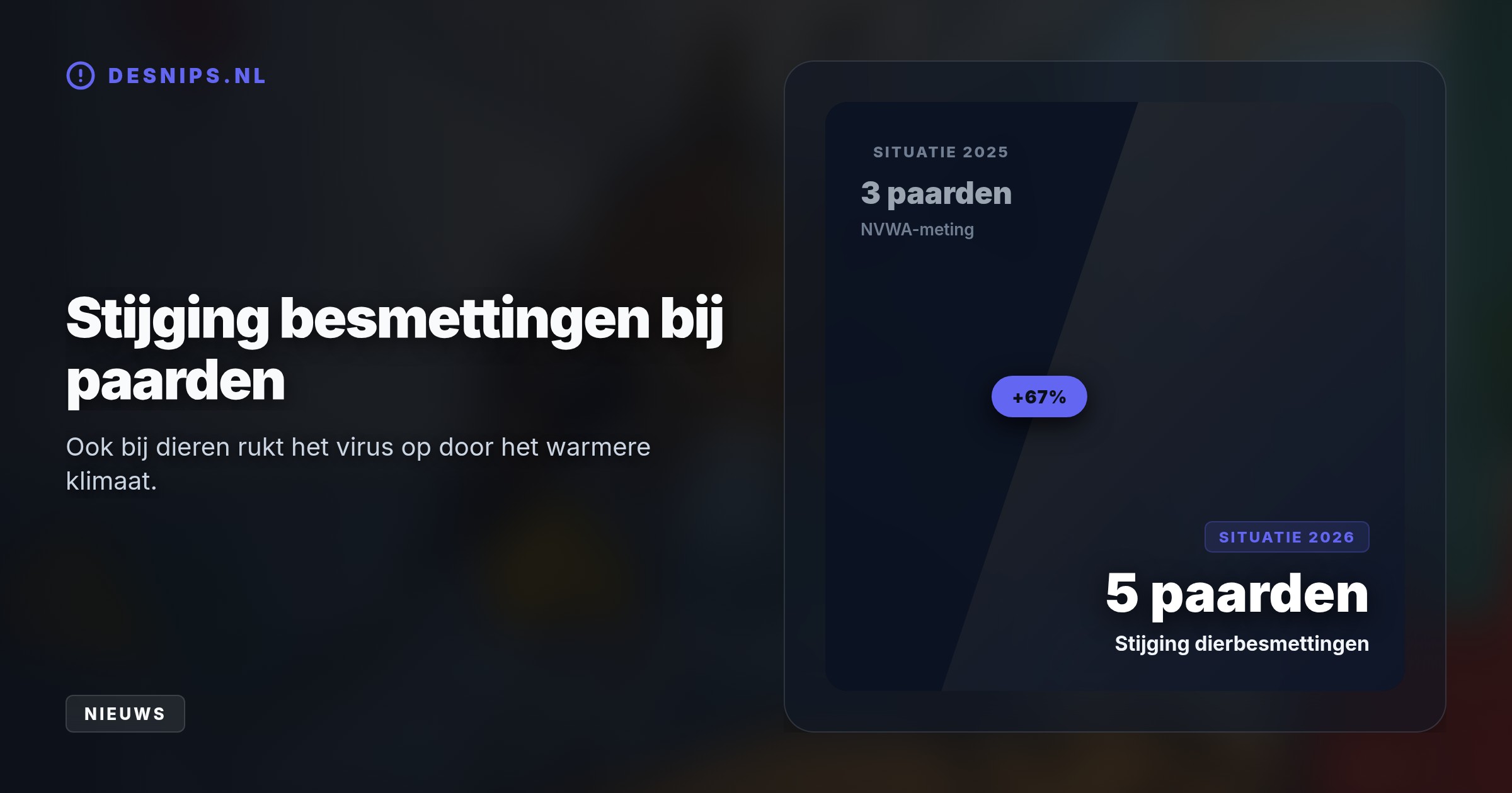 De gewone Nederlandse huissteekmug verspreidt het virus na het bijten van een besmette vogel. Gelukkig krijgt tachtig procent van de mensen helemaal geen klachten.