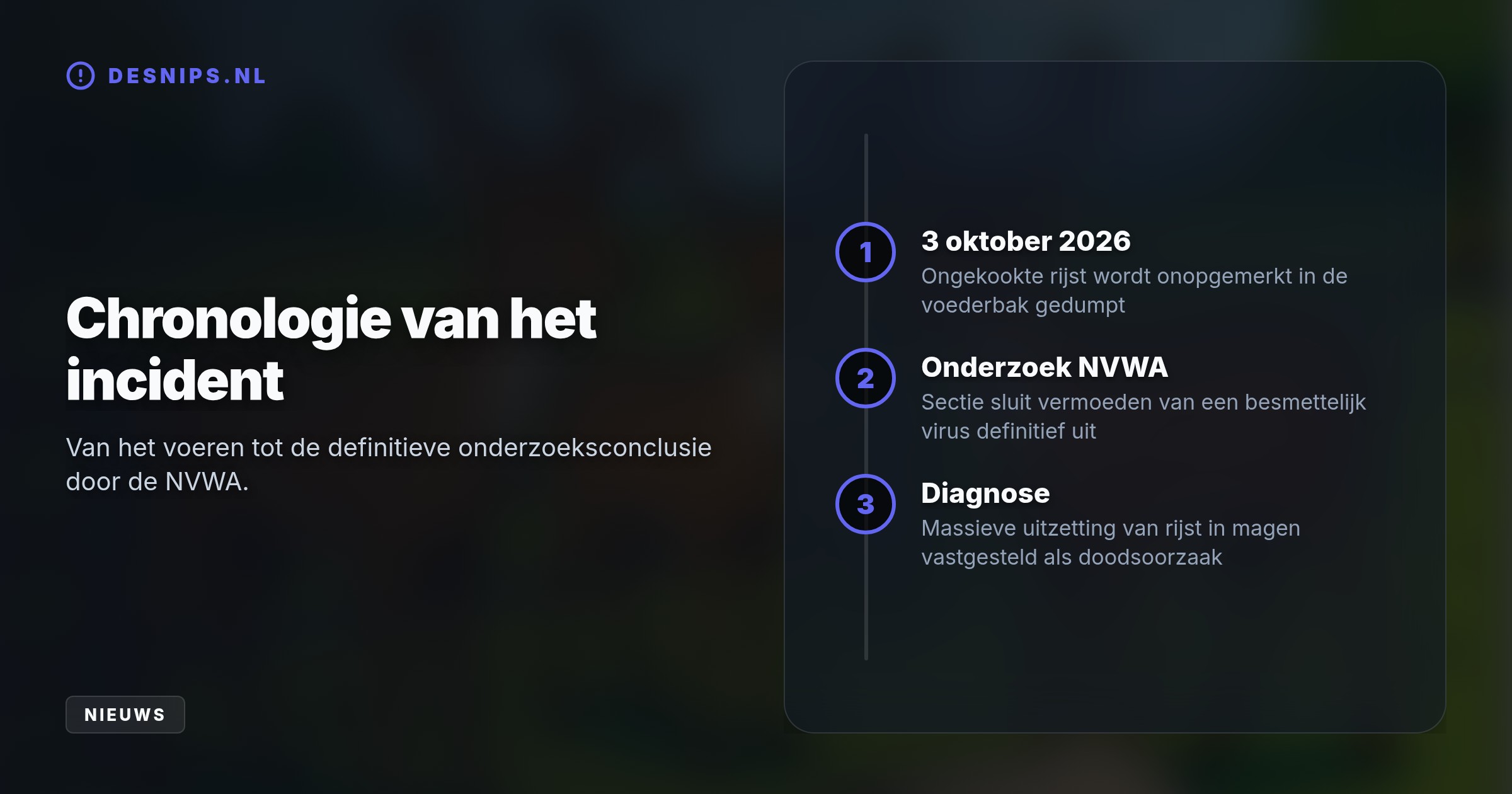 Droge rijst zwelt door maagsappen op tot een fatale blokkade. Beheerders benadrukken dat bezoekers dieren in het hertenkamp nooit zelf moeten voeren.