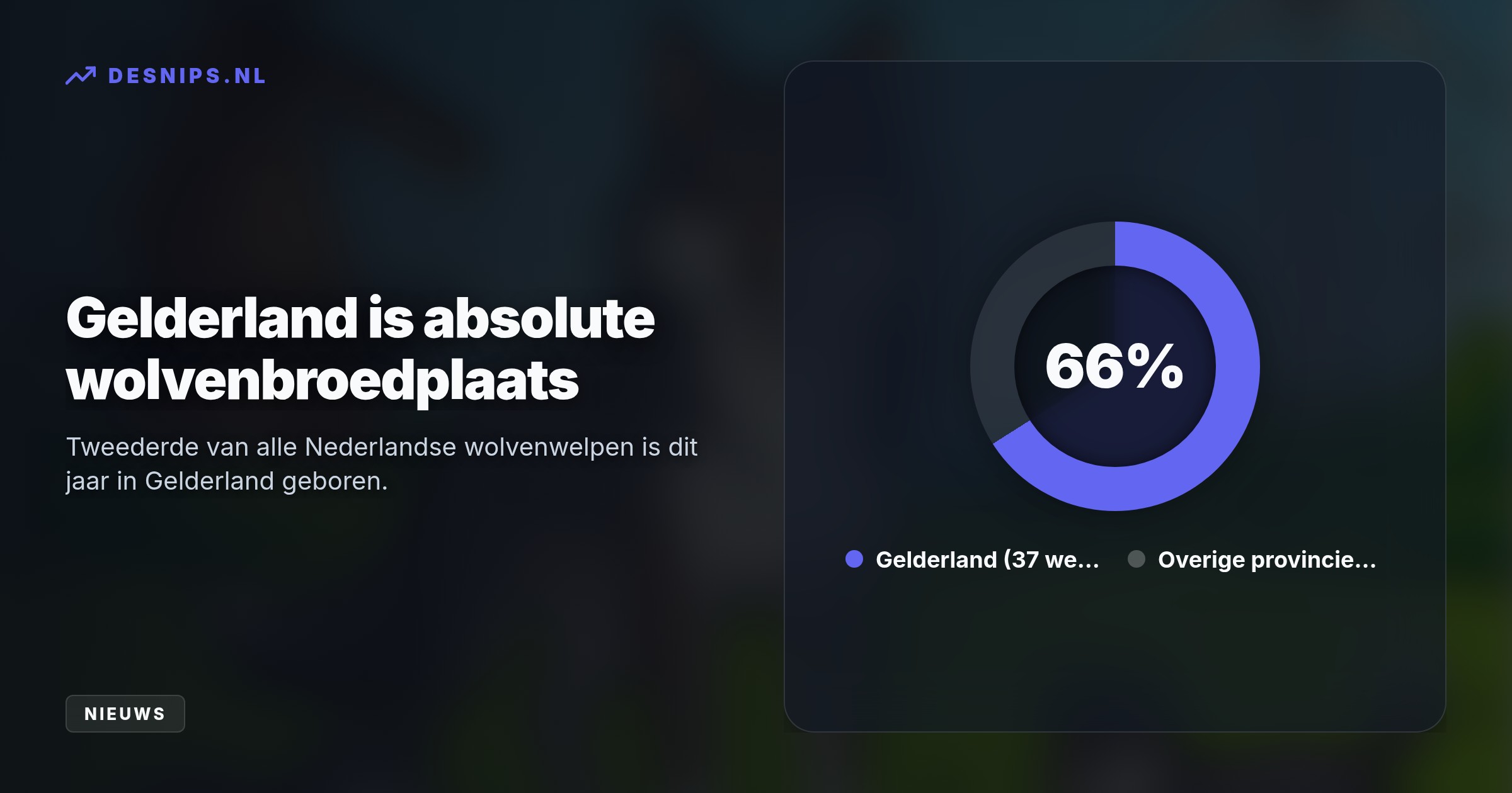 Met vijf nieuwe potentiële leefgebieden stijgt het aantal territoria naar twintig. De stormachtige groei van de roedels eist direct meer preventieve maatregelen van veehouders.