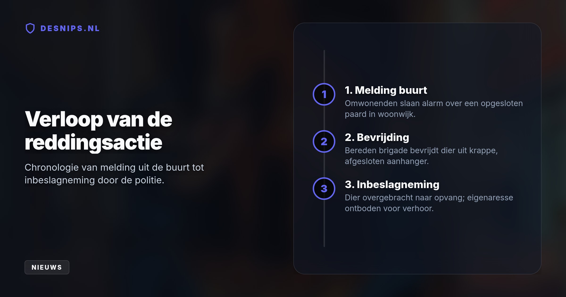Het dier stond urenlang vast zonder eten of drinken en stootte zijn hoofd tegen het dak. De eigenaresse had al eerder waarschuwingen gekregen en moet zich verantwoorden.