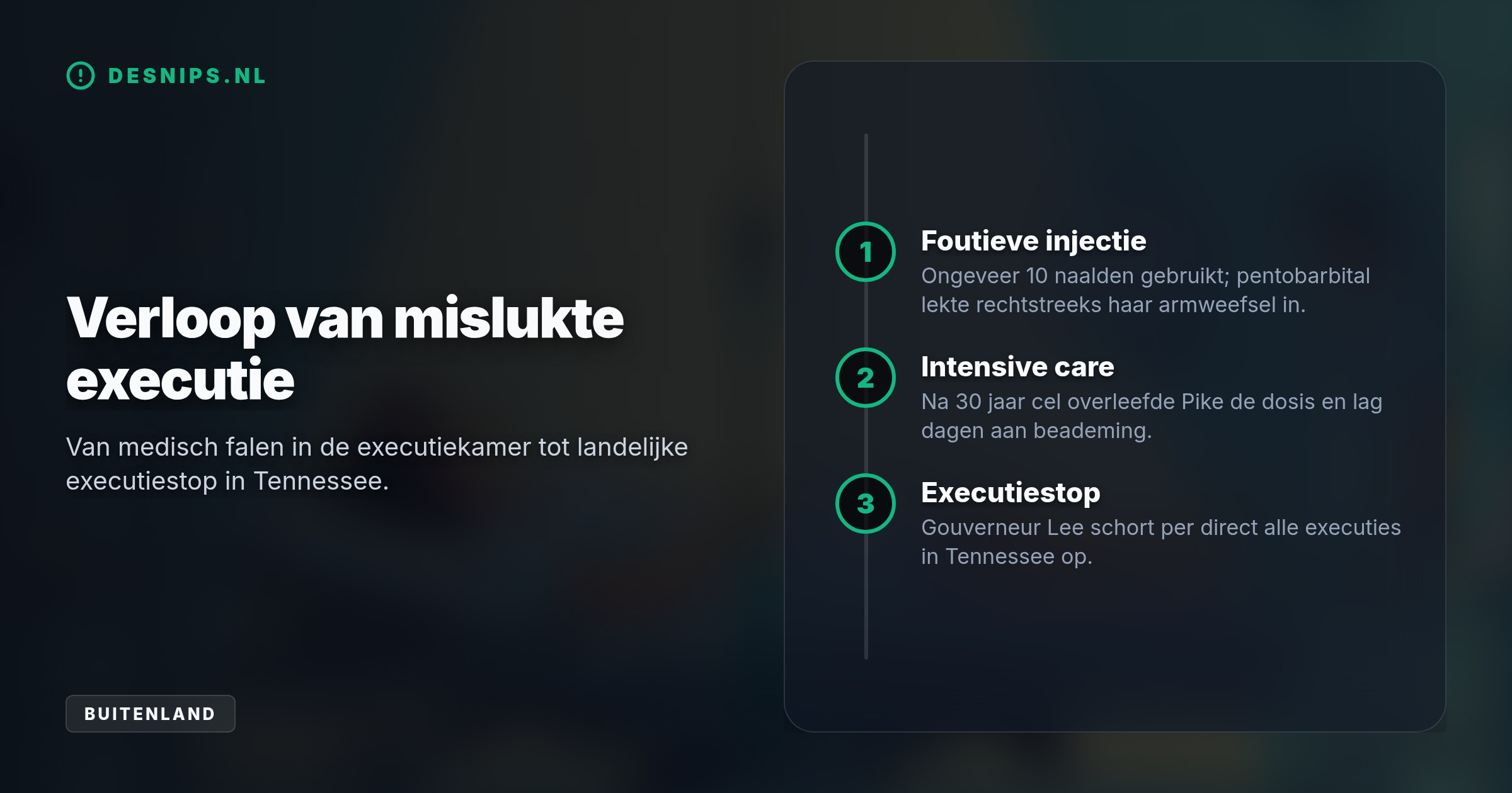 Het executieteam van Christa Pike prikte aderen kapot, waardoor het gif in haar weefsel lekte in plaats van de bloedbaan. Na dagen aan de beademing eist haar advocaat nu levenslang.