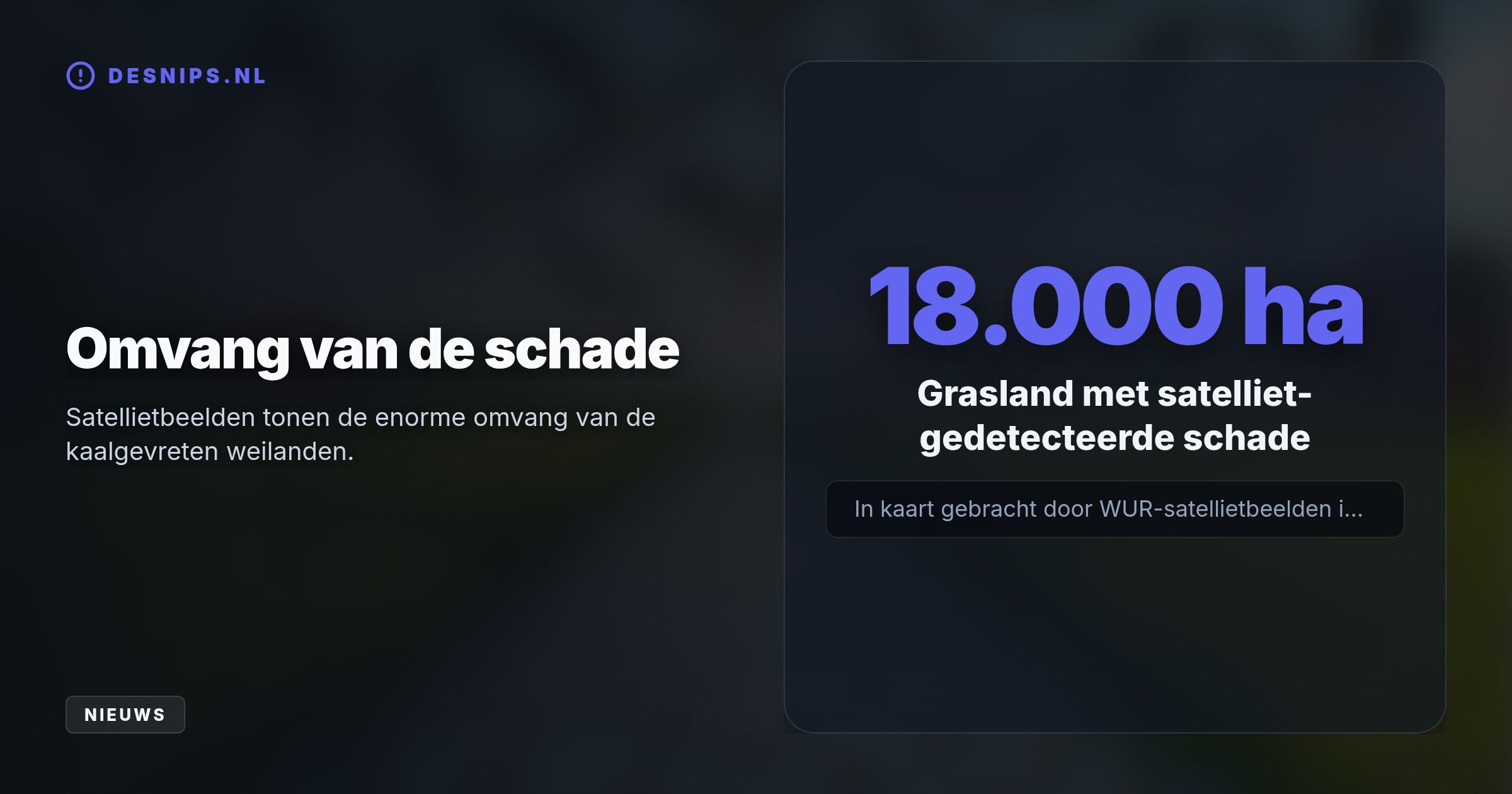 Door een warme, droge zomer vermenigvuldigen veldmuizen zich explosief. Boeren verdrinken de nesten, waarna honderden roofvogels en ooievaars zich tegoed doen aan een gigantisch buffet.