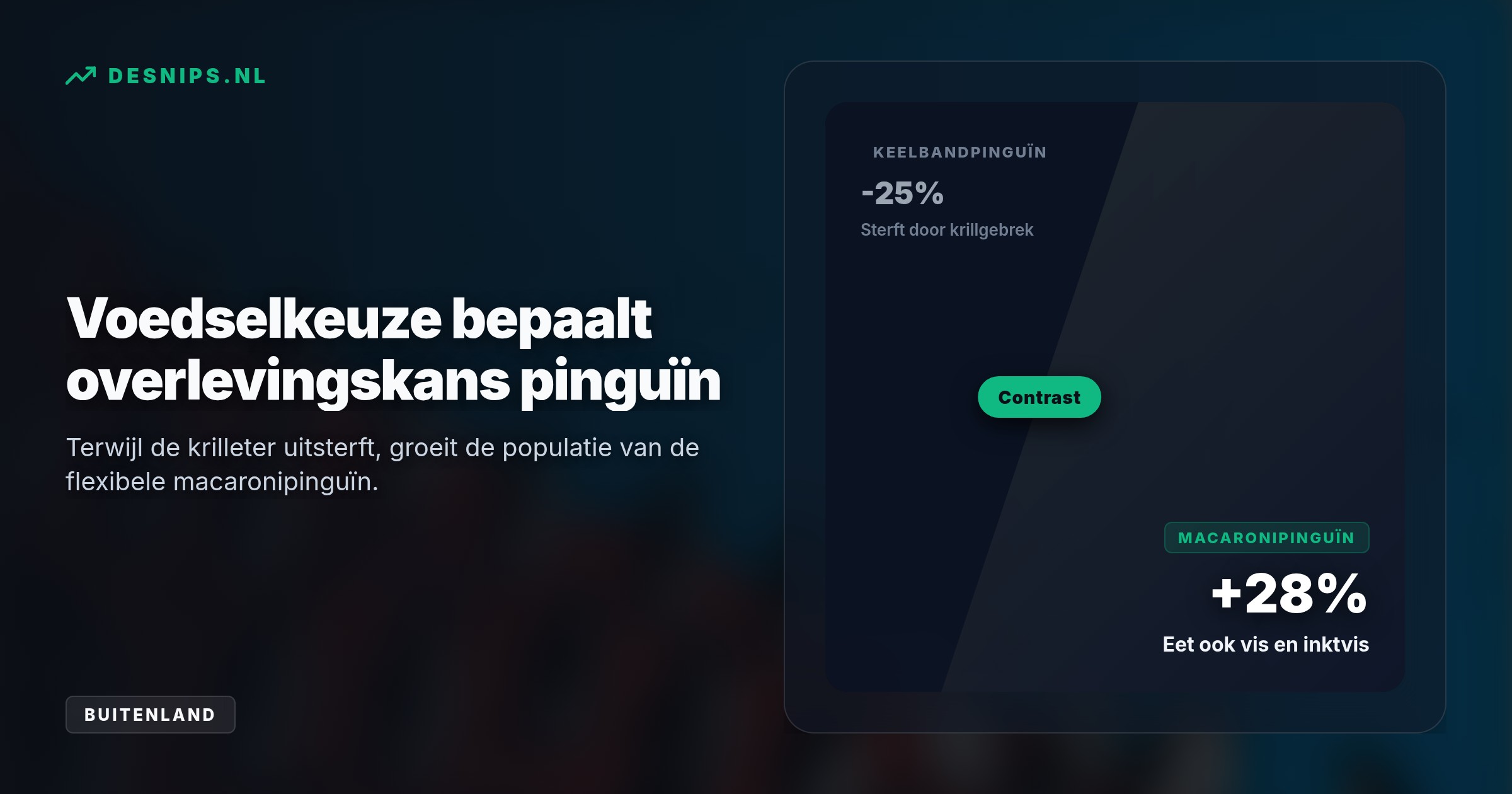 Door opwarmend zeewater vluchtte het krill naar het zuiden, waardoor de honkvaste keelbandpinguïns op het sub-Antarctische Zavodovski-eiland massaal verhongerden.