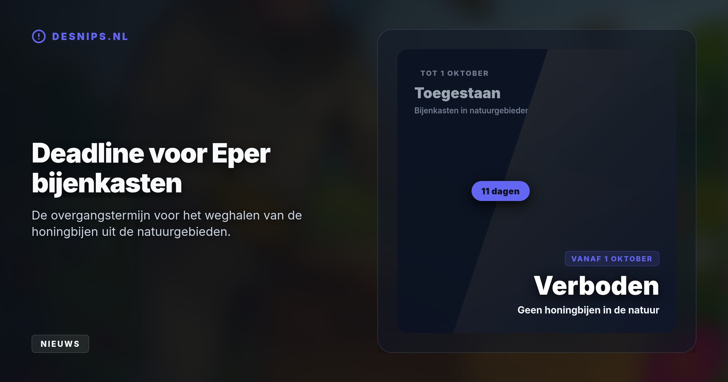 De bekende imker moet voor 1 oktober zijn honingbijen verplaatsen. Wetenschappelijk onderzoek toont aan dat zij al het voedsel van de bedreigde wilde bijen in de regio opeten.