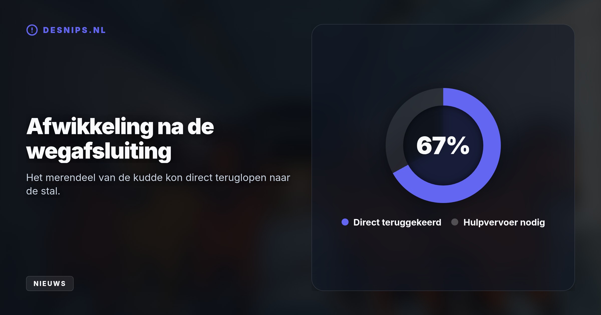 Een kudde van twaalf paarden ontsnapte maandagavond uit een gesloten weiland en rende de Wijkertunnel in. Na een snelle reddingsactie zijn alle dieren weer veilig terug.