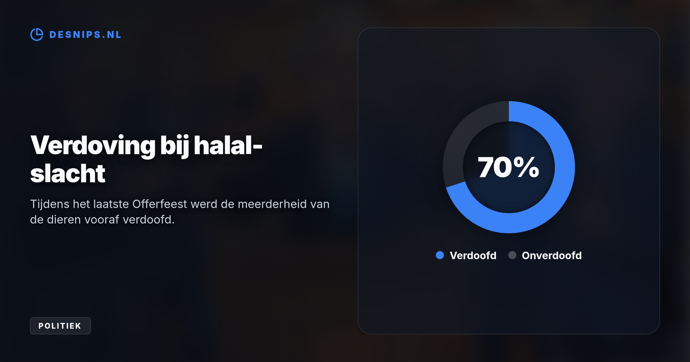 Dierenwelzijn staat centraal voor Erkens, maar religieuze partijen vrezen aantasting van de godsdienstvrijheid. Het PvdD-wetsvoorstel maakt nu de grootste kans in tien jaar.