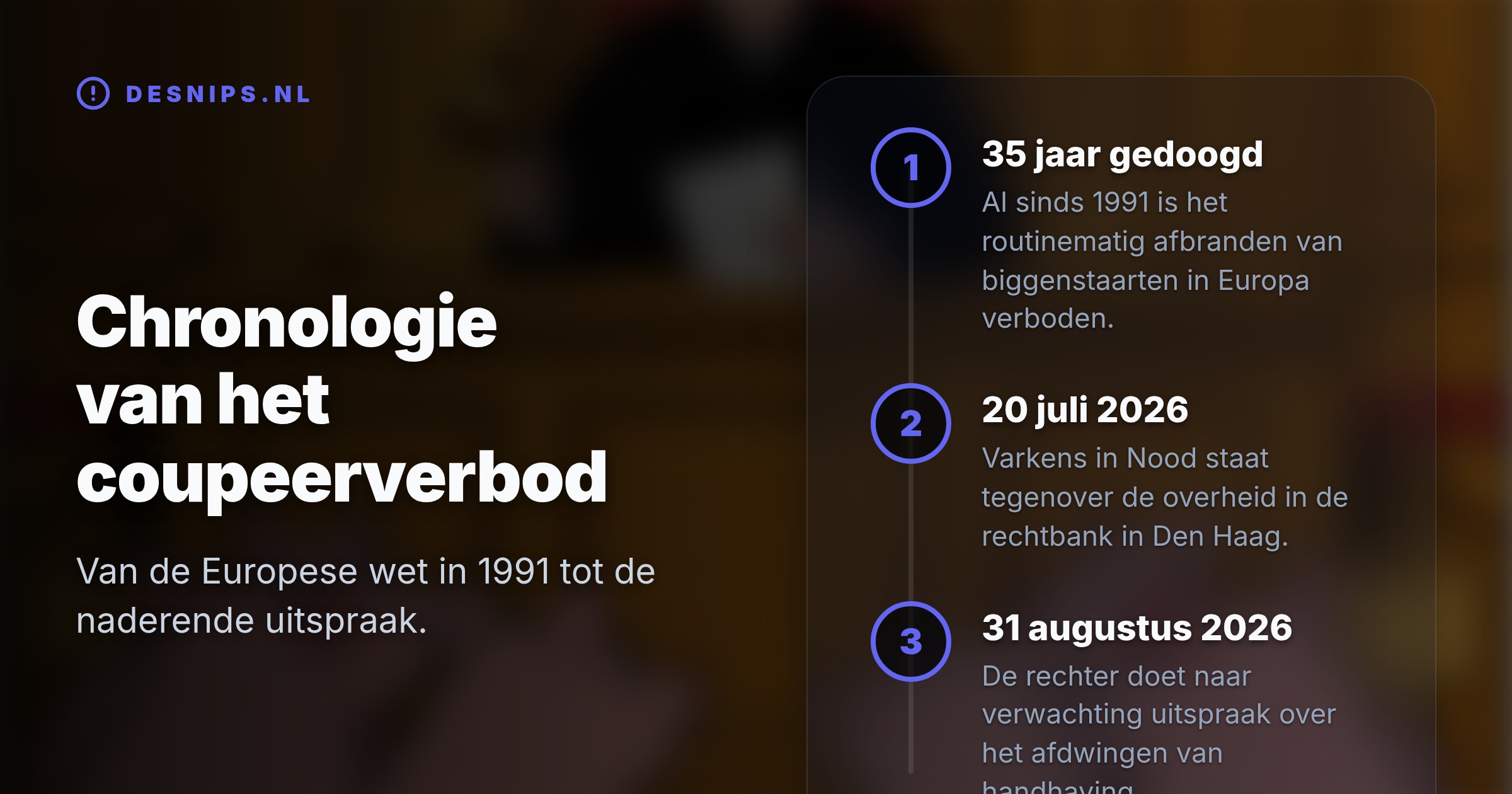 Al sinds 1991 geldt een Europees verbod, maar toch verliest tot 99 procent van de biggen de krulstaart. De stichting eist nu handhaving van de Staat.