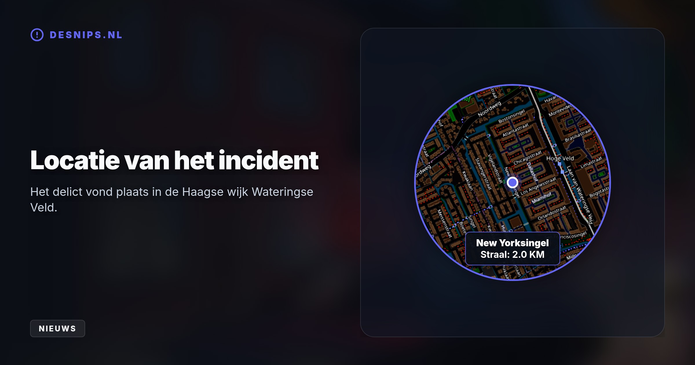 Na een nachtelijk schietincident om 02:10 uur aan de New Yorksingel overleed een vrouw ter plekke. De dader sloeg op de vlucht, waarna de politie met het kenteken een klopjacht opzette.