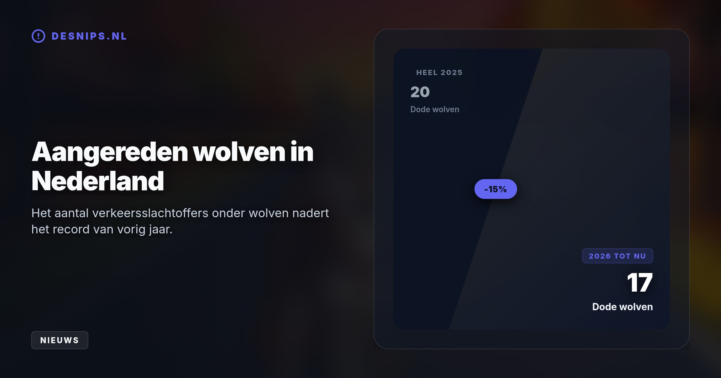 Doordat jonge wolven van anderhalf jaar hun roedel verlaten, steken ze onervaren drukke wegen over. Omdat de najaarsspits samenvalt met de schemering is het risico op botsingen nu extra hoog.